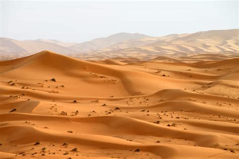 saharasdessert|Visiter le désert du Sahara à dos de Méhari : réservation & tarifs